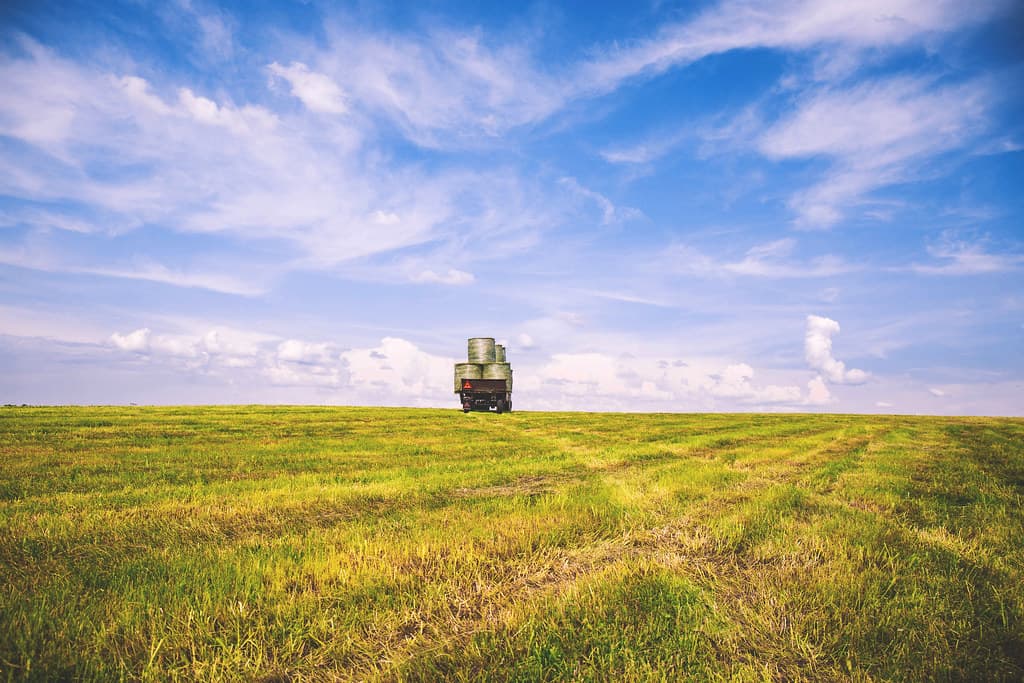 Illustrative photograph of a harvested field with hay bales.